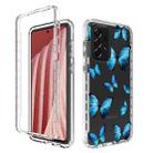 For Samsung Galaxy A73 Transparent Painted Phone Case(Blue Butterflies) - 1