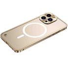 For iPhone 14 Pro Max Metal Frame Frosted PC Shockproof MagSafe Case (Gold) - 1