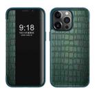 For iPhone 14 Pro Crocodile Texture Windows View Horizontal Flip Leather Case(Green) - 1