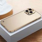 For iPhone 14 Pro Max Metal Frame + Frosted PC Phone Case (Gold) - 1