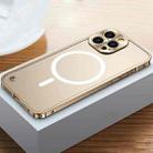 For iPhone 14 Pro MagSafe Magnetic Metal Frame Frosted Phone Case(Gold) - 1