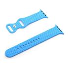 Weave Texture Watch Band For Apple Watch Ultra 49mm&Watch Ultra 2 49mm / Series 9&8&7 45mm / SE 3&SE 2&6&SE&5&4 44mm / 3&2&1 42mm(Blue) - 1