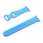 Weave Texture Watch Band For Apple Watch Series 8&7 41mm / SE 2&6&SE&5&4 40mm / 3&2&1 38mm(Blue) - 1