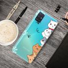 For Galaxy A71 Lucency Painted TPU Protective(Meow Meow) - 5