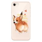 For iPhone 7 / 8 Lucency Painted TPU Protective(Corgi) - 1