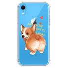 For iPhone XR Transparent Painted TPU Protective Phone Case(Corgi) - 1