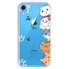 For iPhone XR Transparent Painted TPU Protective Phone Case(Meow Meow) - 1
