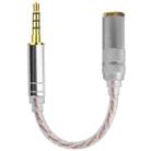 ZS0156 Balanced Inter-conversion Audio Cable(2.5 Balanced Male to 4.4 Balanced Female) - 1