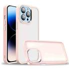 For iPhone 14 Pro Charm Pupil Frosted Skin Feel Phone Case(Pink) - 1