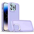 For iPhone 14 Pro Max Charm Pupil Frosted Skin Feel Phone Case (Purple) - 1