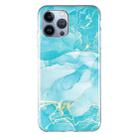 For iPhone 13 Pro IMD Marble Pattern TPU Phone Case (Green) - 1