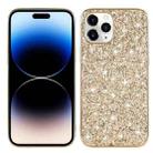 For iPhone 14 Pro Glitter Powder TPU Phone Case(Gold) - 1