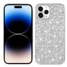 For iPhone 14 Pro Glitter Powder TPU Phone Case(Silver) - 1