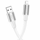 Borofone BX82 USB to 8 Pin Bountiful Charging Data Cable, Length:1m(White) - 1