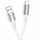 Borofone BX82 USB to Type-C Bountiful Charging Data Cable, Length:1m(White) - 1
