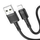 hoco X83 2.4A USB to 8 Pin Victory Charging Data Cable，Length：1m(Black) - 1