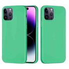 For iPhone 14 Pro Max Solid Color Silicone Phone Case (Green) - 1