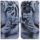 For Infinix Note 12 G96/X670 Coloured Drawing Leather Phone Case(Tiger) - 1