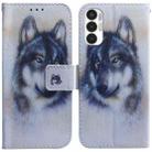 For Tecno Pova 3 LE7 Coloured Drawing Leather Phone Case(White Wolf) - 1