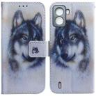 For Tecno Pop 6 No Fingerprints Coloured Drawing Leather Phone Case(White Wolf) - 1
