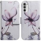 For Motorola Moto G62 5G Coloured Drawing Leather Phone Case(Magnolia Flower) - 1