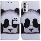 For Motorola Moto G62 5G Coloured Drawing Leather Phone Case(Panda) - 1