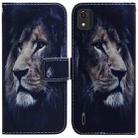 For Nokia C2 2nd Edition Coloured Drawing Leather Phone Case(Lion) - 1