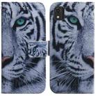 For Nokia C2 2nd Edition Coloured Drawing Leather Phone Case(Tiger) - 1