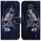 For Nokia C21 Coloured Drawing Leather Phone Case(Lion) - 1