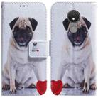 For Nokia C21 Coloured Drawing Leather Phone Case(Pug) - 1