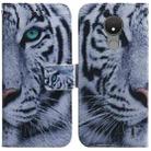 For Nokia C21 Coloured Drawing Leather Phone Case(Tiger) - 1