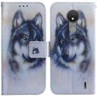 For Nokia C21 Coloured Drawing Leather Phone Case(White Wolf) - 1