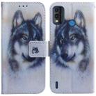 For Nokia G11 Plus Coloured Drawing Leather Phone Case(White Wolf) - 1