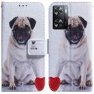 For OPPO A57 2022 4G/A57 2022 5G/Realme Q5i/Realme V23 5G/Realme Narzo 50 5G/A77 5G  Coloured Drawing Leather Phone Case(Pug) - 1