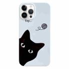 For iPhone 13 Pro Painted Pattern PC Phone Case (Black Cat) - 1