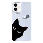 For iPhone 12 Painted Pattern PC Phone Case(Black Cat) - 1