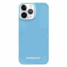 For iPhone 11 Pro Max Painted Pattern PC Phone Case (Blue) - 1