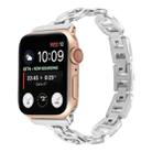 Steel Watch Band For Apple Watch Ultra 49mm&Watch Ultra 2 49mm / Series 9&8&7 45mm / SE 3&SE 2&6&SE&5&4 44mm / 3&2&1 42mm(Silver) - 1