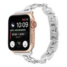 Steel Watch Band For Apple Watch Series 9&8&7 41mm / SE 3&SE 2&6&SE&5&4 40mm / 3&2&1 38mm(Silver) - 1