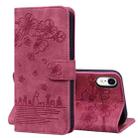 For iPhone XR Cartoon Sakura Cat Embossed Leather Case(Wine Red) - 1