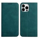 For iPhone 12 Pro Strong Magnetic Leather Case(Green) - 1