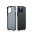 For iPhone 14 Pro Dunjia Series TPU + PC Shockproof Phone Case(Black) - 1