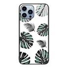 For iPhone 14 Pro Max Colorful Painted Glass Phone Case (Banana Leaf) - 1