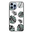 For iPhone 13 Pro Max Colorful Painted Glass Phone Case (Banana Leaf) - 1