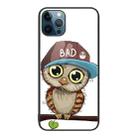 For iPhone 12 Pro Max Colorful Painted Glass Phone Case(Owl) - 1