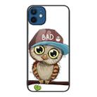 For iPhone 12 / 12 Pro Colorful Painted Glass Phone Case(Owl) - 1