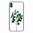For iPhone XS Max Colorful Painted Glass Phone Case(Sapling) - 1