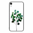 For iPhone XR Colorful Painted Glass Phone Case(Sapling) - 1