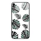 For iPhone XR Colorful Painted Glass Phone Case(Banana Leaf) - 1