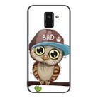 For Samsung Galaxy A8+ 2018 Colorful Painted Glass Phone Case(Owl) - 1